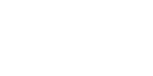 Rise Infraventures Limited